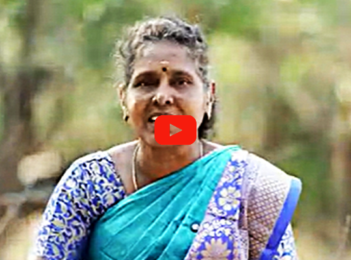 Jeeva 2